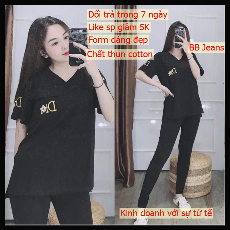 [40-85KG] set đồ bộ nữ đi chơi, bộ đồ nữ quần dài chất thun cotton cao cấp thoáng mát 6 màu Panda Store