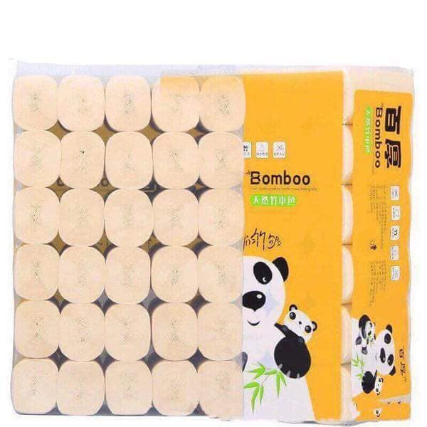 giấy gấu trúc cuộn tròn