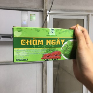 Trà chùm ngây xạ đen linh chi