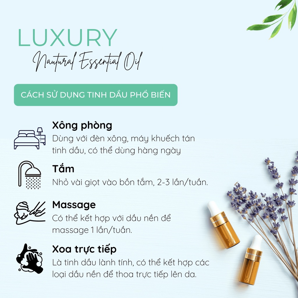 Set 5 Chai Tinh Dầu Thơm Dịu Nhẹ Hermione Natural Life Thông Dụng Nhất, Thư Giãn, Xông Thòng, Thiên Nhiên Nguyên Chất