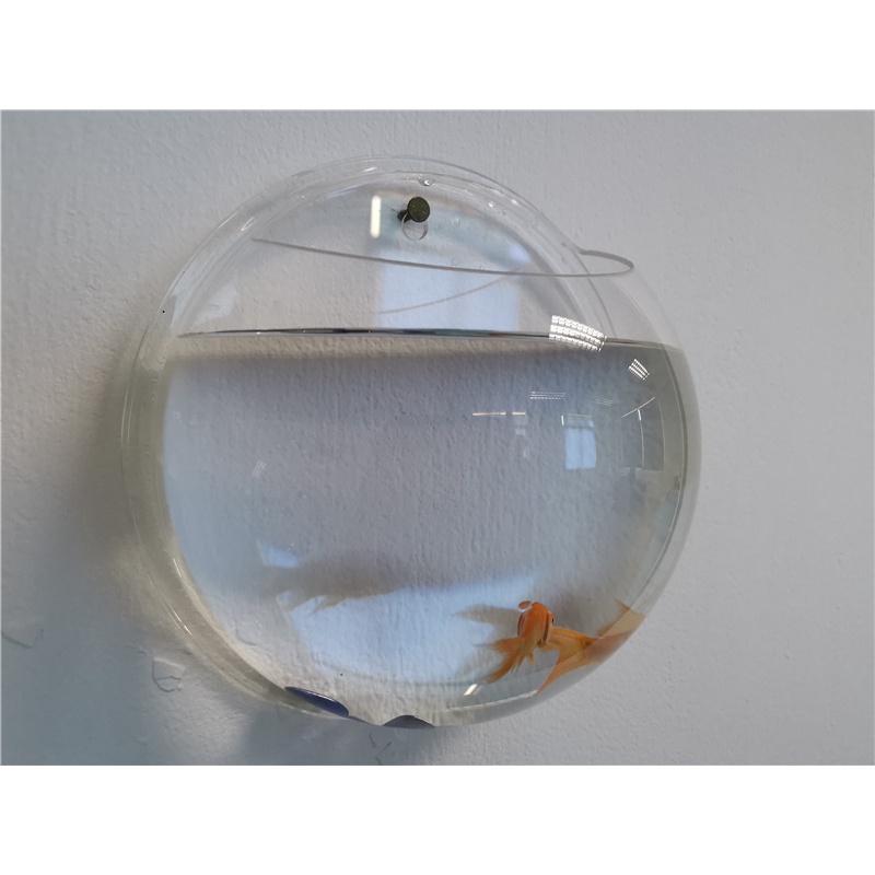 Bể Cá Gắn Tường Ba Màu Sắc Hình Cầu Bằng acrylic Sáng Tạo