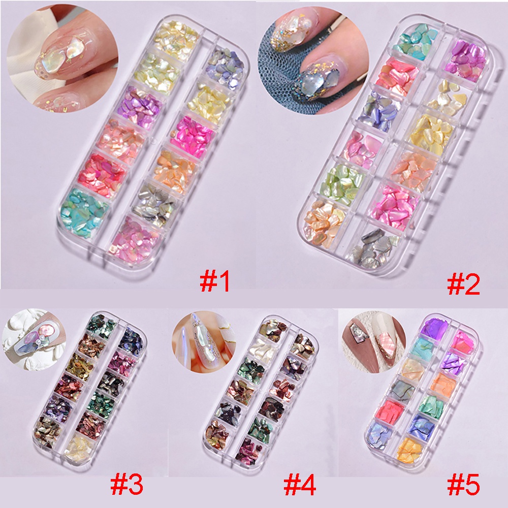 [Hàng mới về] Hộp phụ kiện vỏ sò 3D dùng trang trí móng nghệ thuật