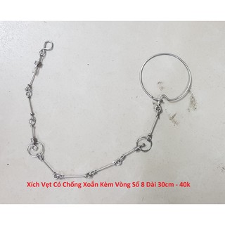 Xích Chân Cho Vẹt 30Cm (Kiểu Thái Lan) Kèm Vòng Số 8