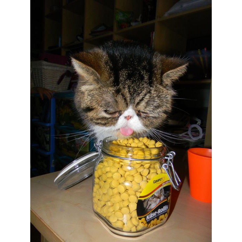 [𝐆𝐢𝐚́ 𝐡𝐮𝐲̉ 𝐝𝐢𝐞̣̂𝐭] Gimcat Viên thưởng cho mèo size tiết kiệm: Phô mai dinh dưỡng và Cỏ mèo Grass bite tiêu búi lông