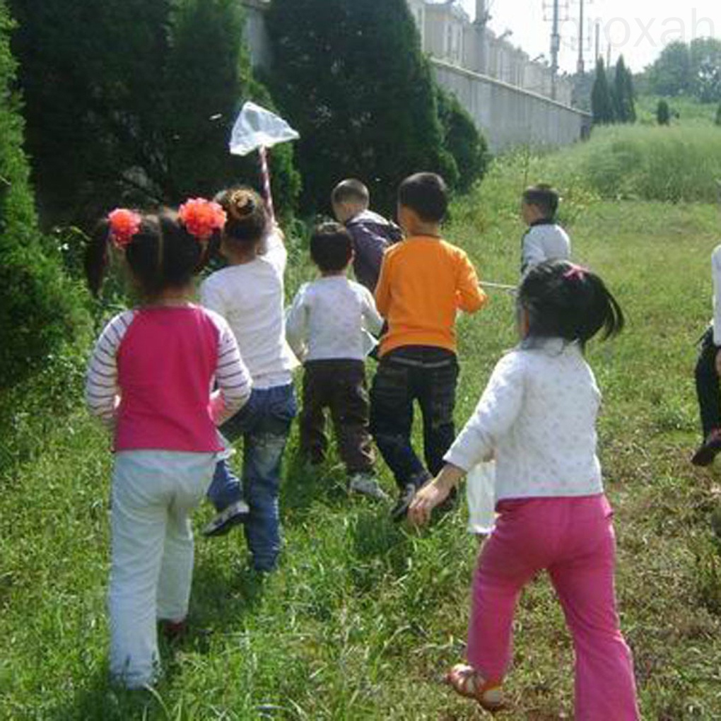 Vợt lưới bắt bướm/ côn trùng cho trẻ em