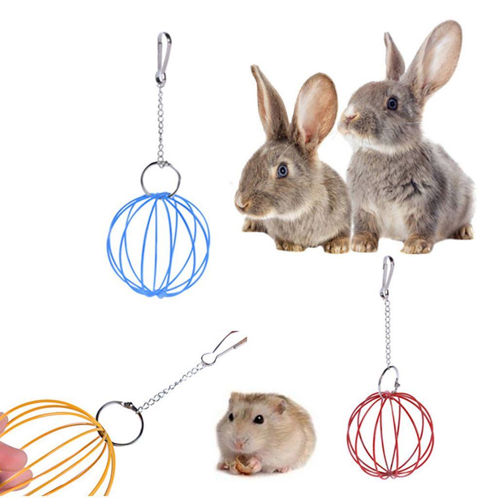 ELLSWORTH 1 Dụng Cụ Đựng Thức Ăn Hình Cầu Cho Chuột Hamster