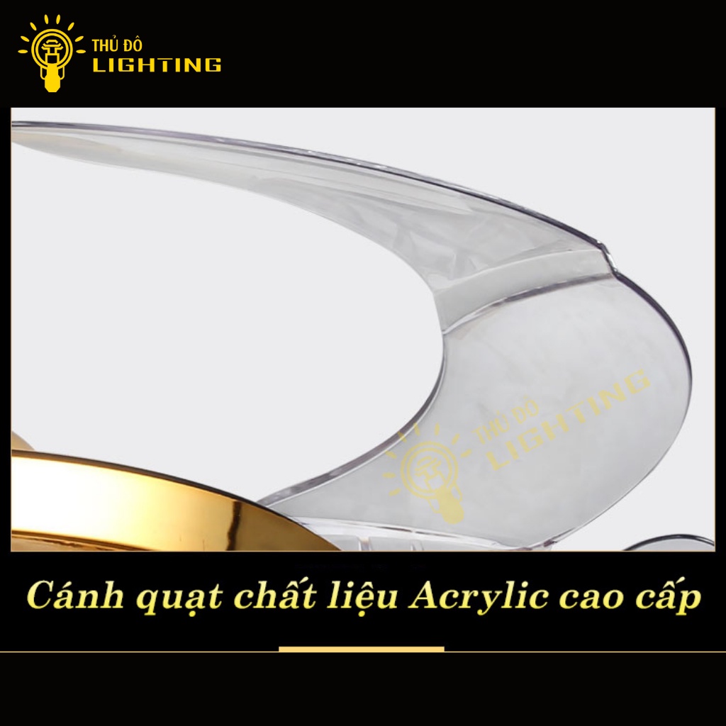 Quạt Trần Đèn Chùm Phòng Khách THỦ ĐÔ LIGHTING 3 Chế Độ Gió Và Ánh Sáng Điều Chính Từ Xa, Có Hẹn Giờ