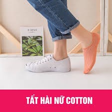 Set 10 Đôi Tất Hài Vớ Đi Giày Lười Gân Cotton Nữ Hàng Loại Đẹp