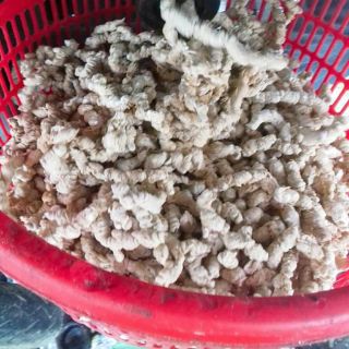 Bỏng nổ-500gr