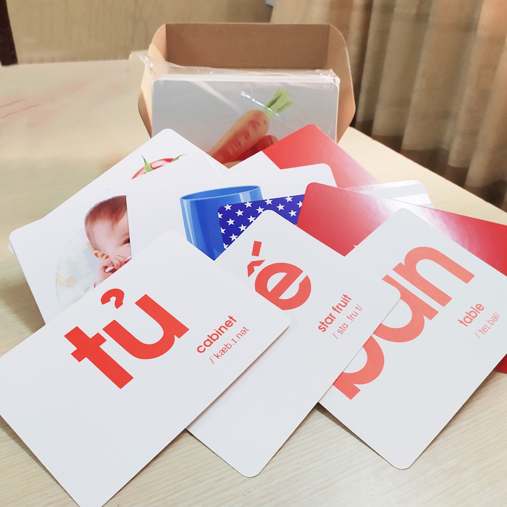 Bộ thẻ học THẾ GIỚI XUNG QUANH khổ A5 (15x21cm) LOẠI TO cho bé- 100 thẻ