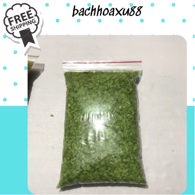 Cốm xanh  Hà Nội dùng đồ xôi, nấu chè, làm chả , cốm sấy khô an toàn bachhoaxu88