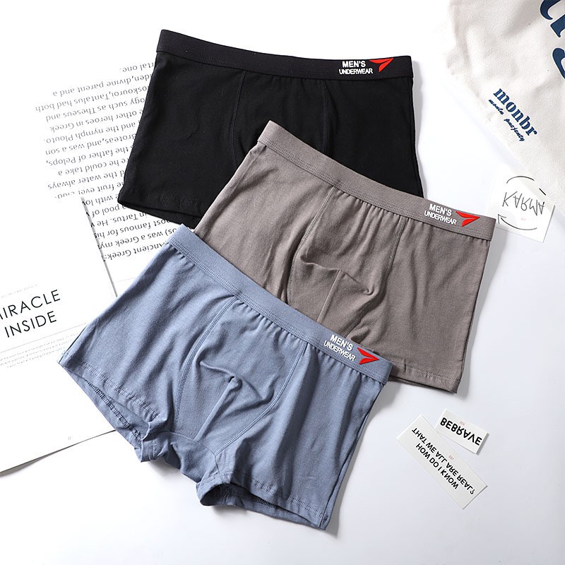 Hộp 4 Quần lót nam cao cấp Sịp đùi boxer cotton 100%