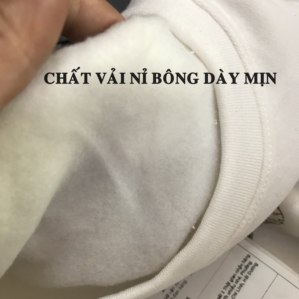 Áo hoodie nỉ bông unisex form rộng VANDERHELL