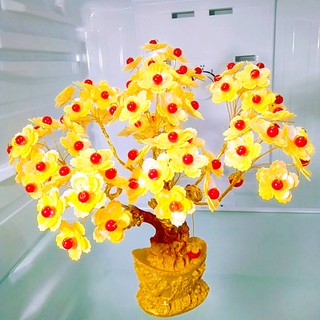 Cây cảnh trang trí tết - Nguyên liệu Handmade.