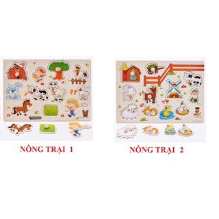 Combo 5 bộ Bảng Gỗ Ghép Hình Có Núm
