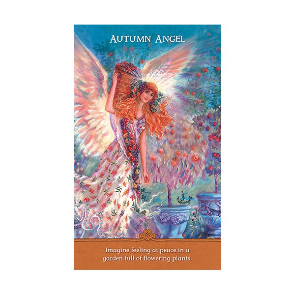 Bội Bài Inspirational Wisdom from Angels &amp; Fairies (Mystic House Tarot Shop)