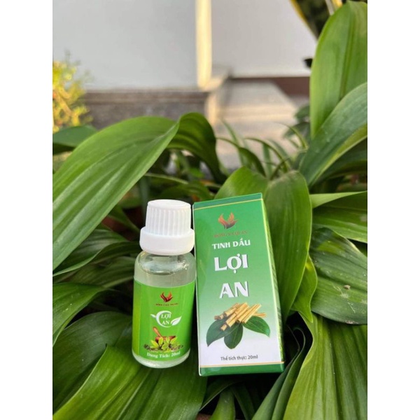 Tinh dầu Lợi An - bôi ho, sổ mũi, khò khè - Chính hãng 100%