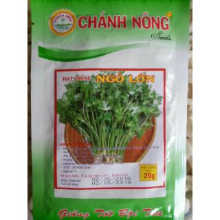 Hạt giống Rau mùi