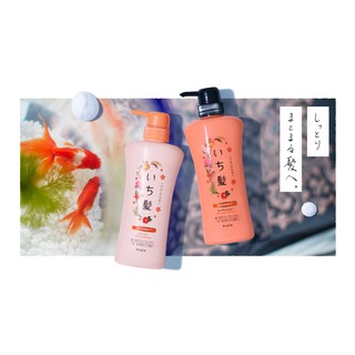 Dầu gội Ichikami Nhật Bản