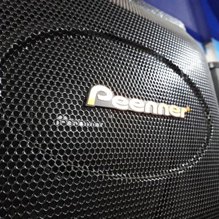 Bộ 2 Loa nằm Peenner PS-699
