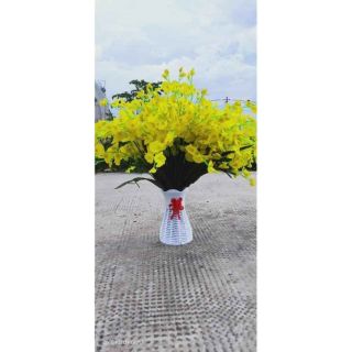 Hoa vũ nữ vải. 27k/bó 10 cành