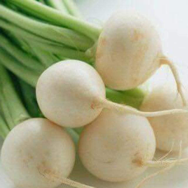 Củ cải chery trắng .giongcaynhap