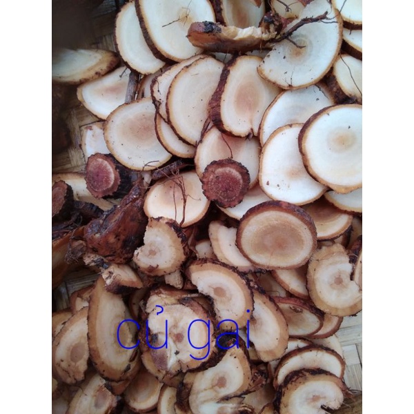 1kg củ gai nhà trồng cam kết hàng chuẩn sạch