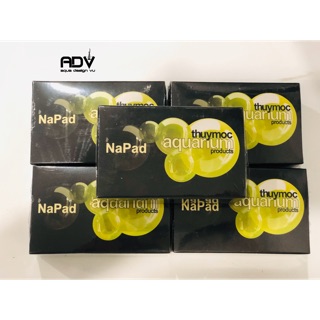 Napad - Giá Thể Trồng Trầu Bà, Bucep