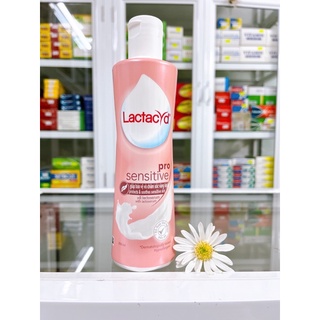 ✅[Chính hãng] Dung dịch vệ sinh Lactacyd (Chai 250ml)