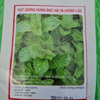 Hạt giống bạc hà ta