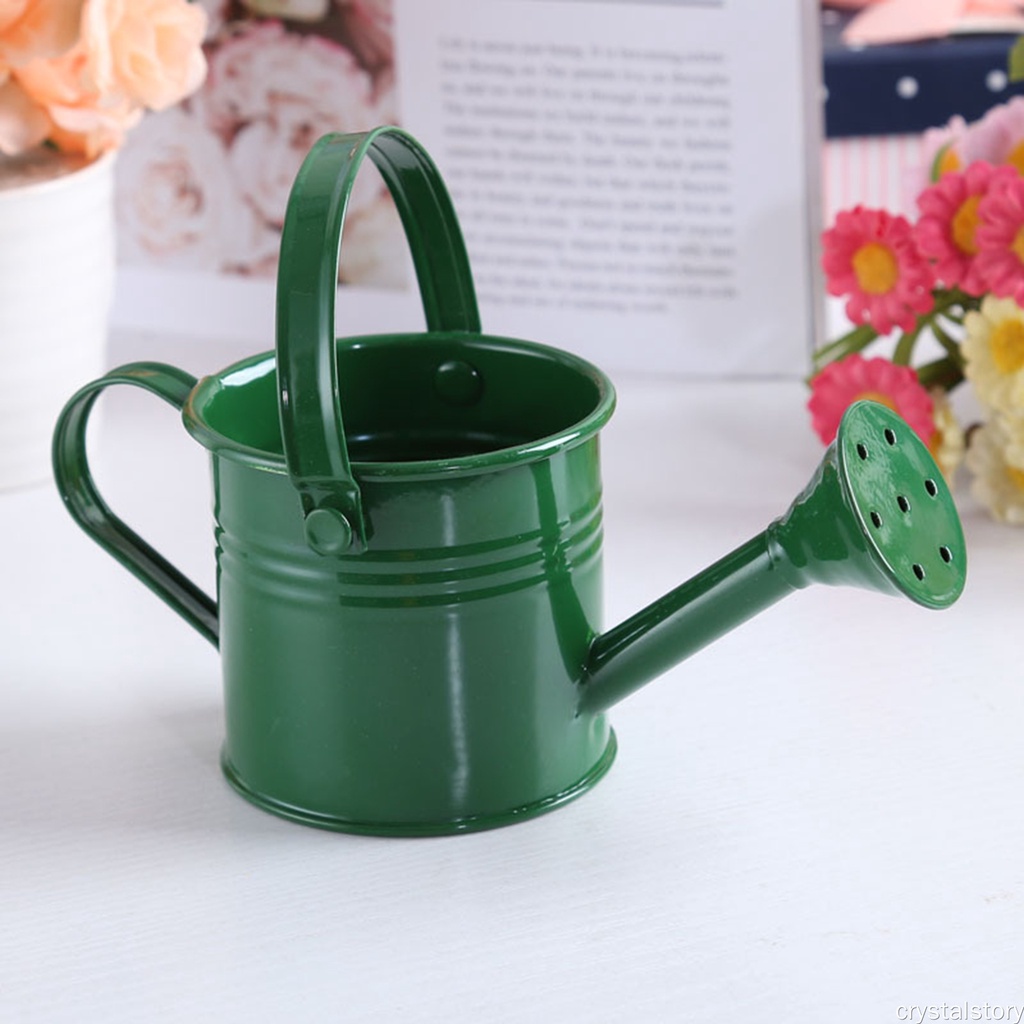 Bình Xịt Nước Tưới Cây Bằng Sắt Cỡ Lớn Có Tay Cầm Dài Tiện Dụng