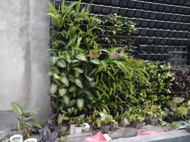 Bộ chậu trồng cây trên tường kích thước 53x16x15cm (đen)