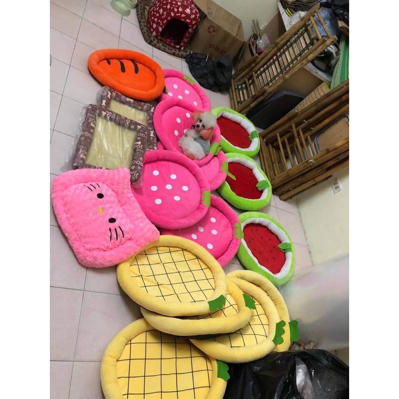 Đệm hình hoa quả cho thú cưng