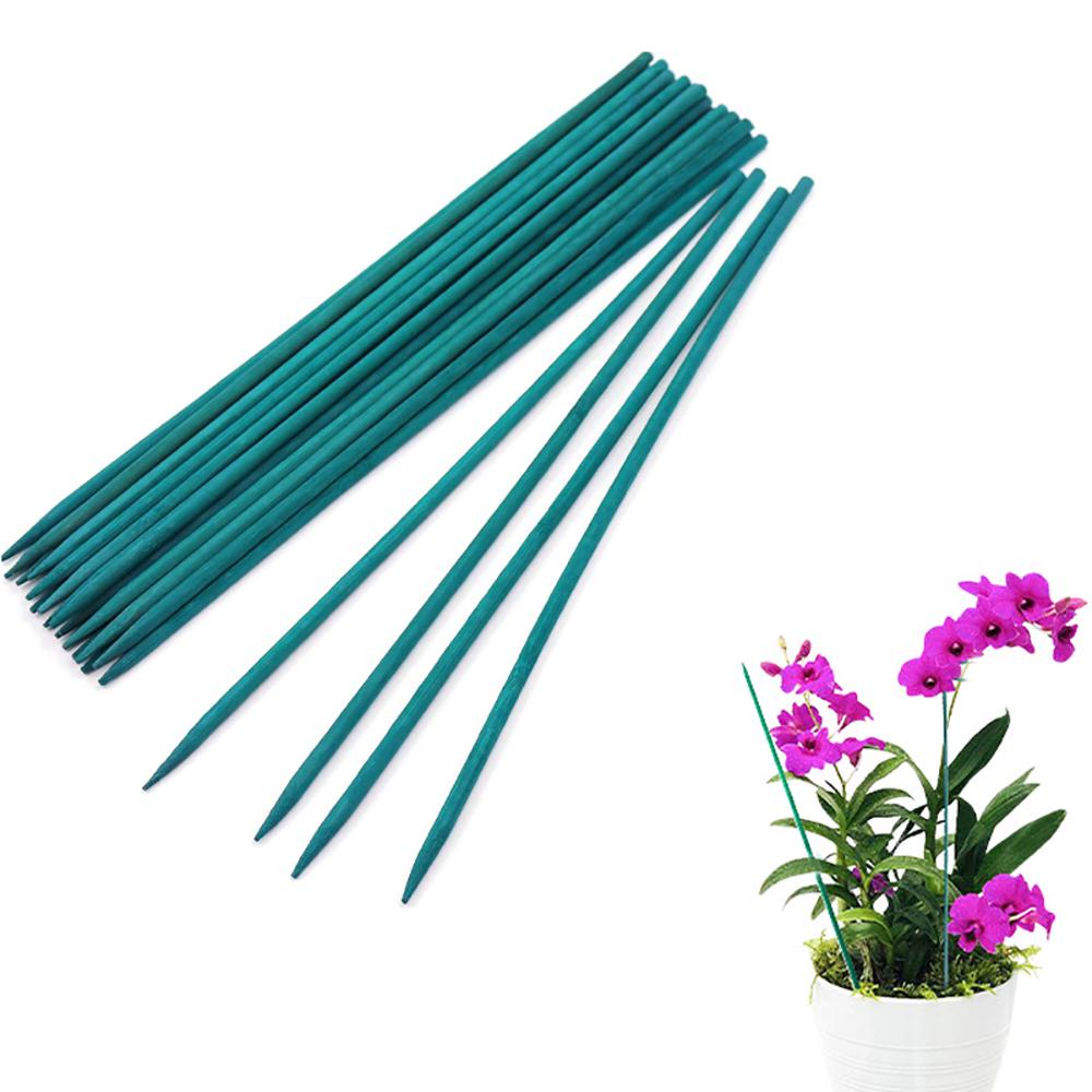 Que Tre Hỗ Trợ Trồng Cây Thân Dài 40cm