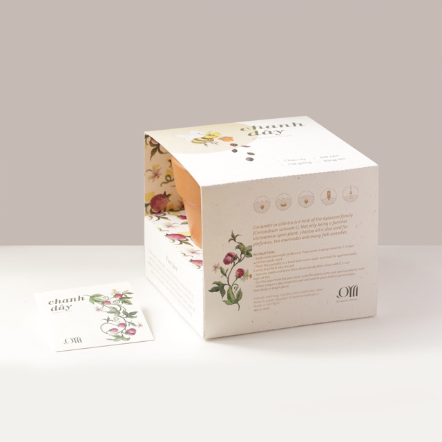 Kit Trồng Cây Mini - Chanh Dây | Plant Kit - Passion Fruit