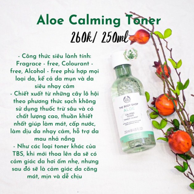 Bộ sản phẩm Aloe Lô hội Yến mạch The Body Shop sữa rửa mặt, toner, kem dưỡng, mặt nạ