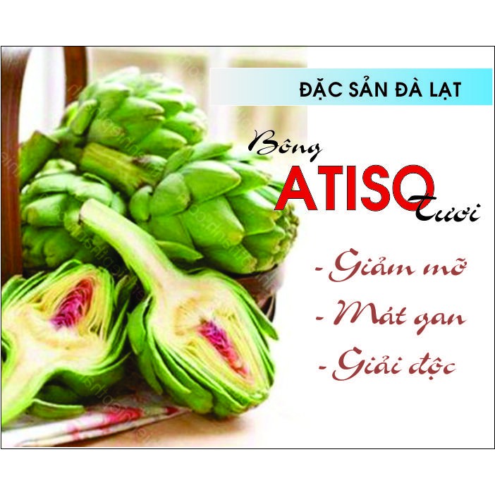 Bông Atiso tươi Đà Lạt - (2 bông lớn)