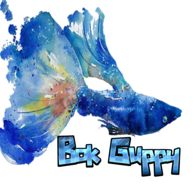 Bok Guppy Bách Hóa