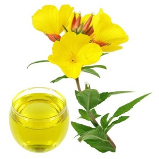 Dầu hoa anh thảo 100ml