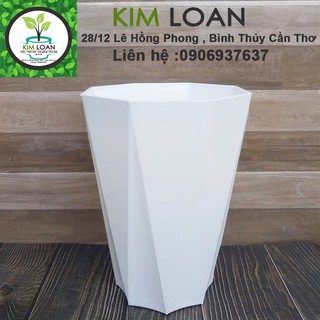 Combo 2 chậu nhựa ống bát giác trắng cao cấp 24x32cm