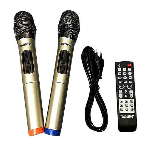 Loa bluetooth karaoke Temeisheng TMS-502