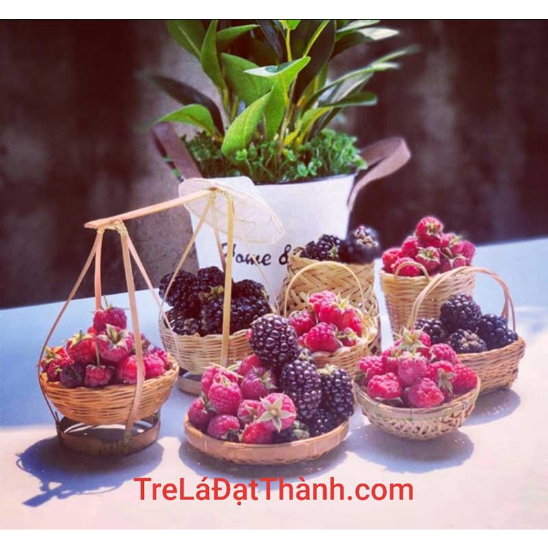 Giỏ tre Lãng hoa nhí  đan thủ công - Phụ kiện trang trí, chụp hình