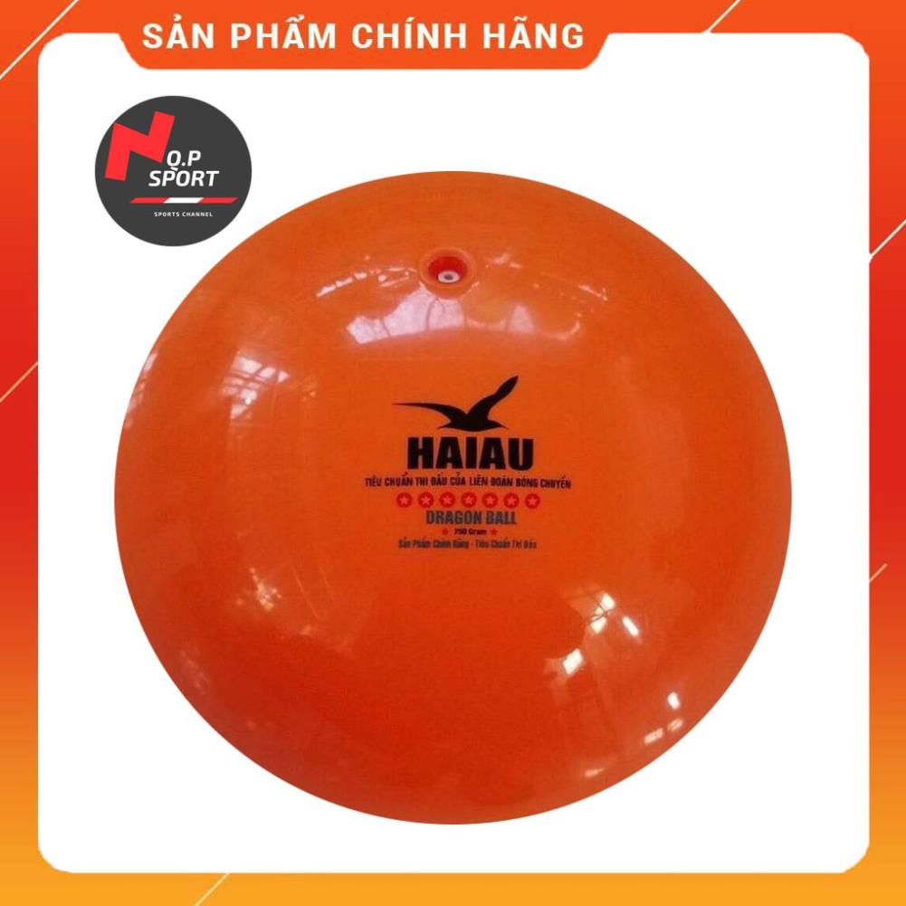 Bóng Chuyền Hơi Thăng Long, Anh Huy và Hải Âu 200g, 250g (Tiêu Chuẩn Thi Đấu - Chính Hãng) - Tặng Kim + Lưới  ྇