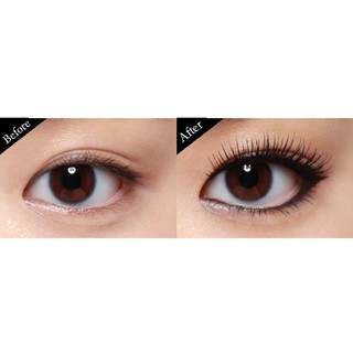 Mascara Essance Dài và Cong Mi 7g