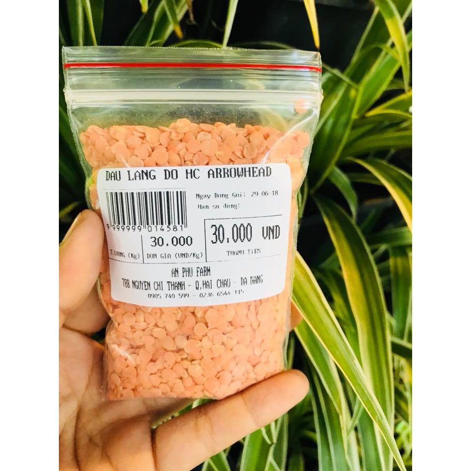 Đậu lăng đỏ hữu cơ ArrowHead