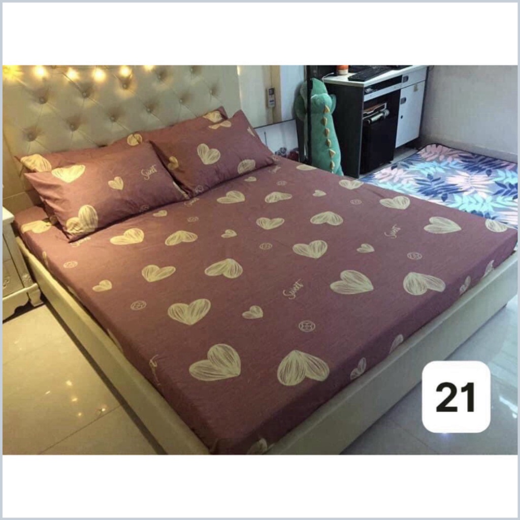 Ga + Gối poly sét 3 món poly cotton không xù không phai màu - Sét 3 món ga bo chun + 2 vỏ gối Ấm Êm Decor - Dứa Official | BigBuy360 - bigbuy360.vn