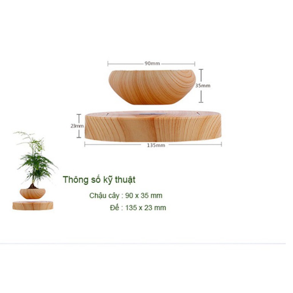 Cây bonsai bay lơ lửng vân gỗ Đen - Home & Garden