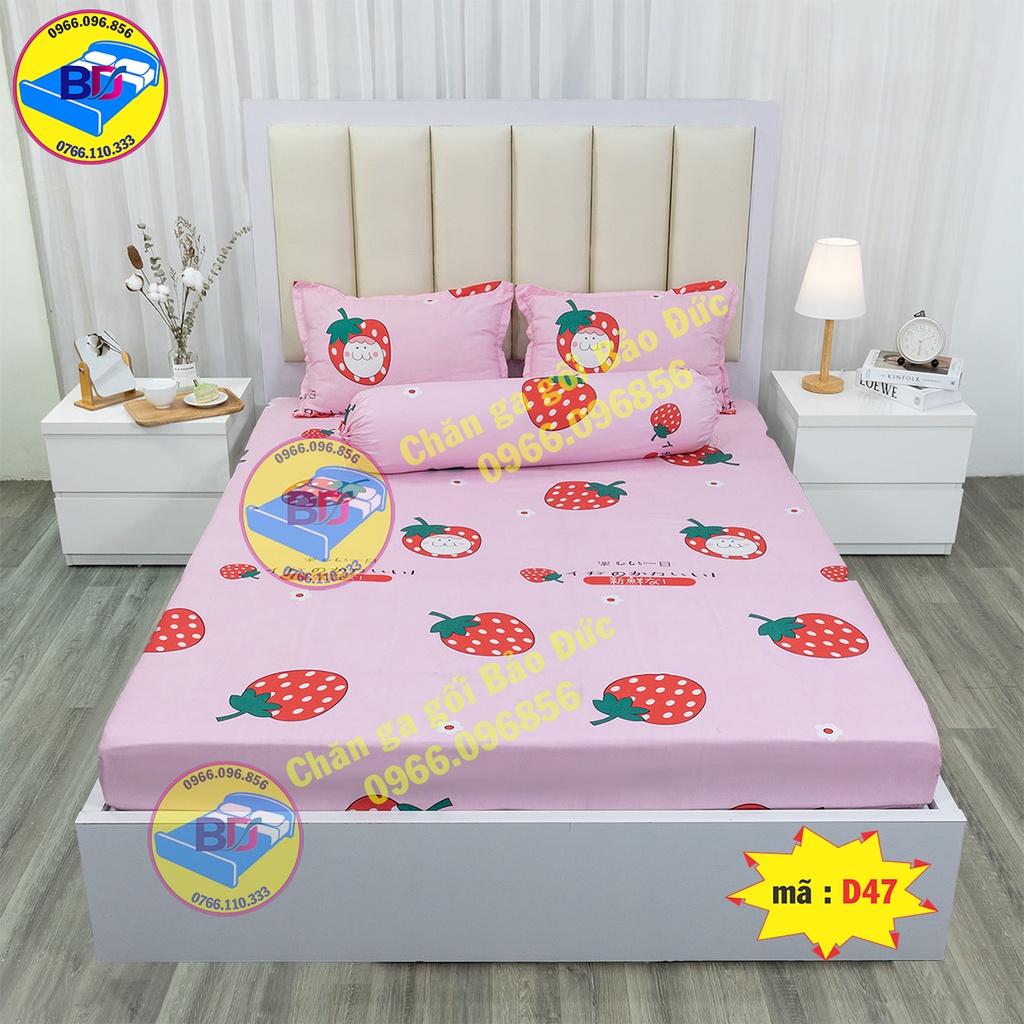 Bộ ga giường , ga bo chun bọc xung quanh chắc chắn ( gồm 4 món )