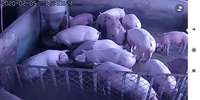 Chế phẩm vườn sinh thái