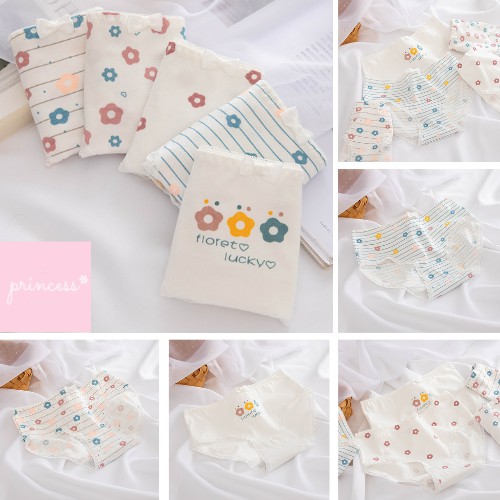 PRINCESS_ SET QUẦN LÓT NỮ COTTON KHÁNG KHUẨN IN HÌNH DỄ THƯƠNG | BigBuy360 - bigbuy360.vn